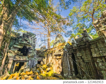 Ta Prohm Wat temple in Angkor, Cambodia Ta Prohm Wat temple in Angkor, Cambodia 121402913