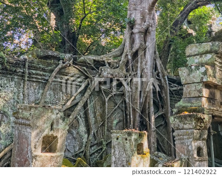 Ta Prohm Wat temple in Angkor, Cambodia Ta Prohm Wat temple in Angkor, Cambodia 121402922