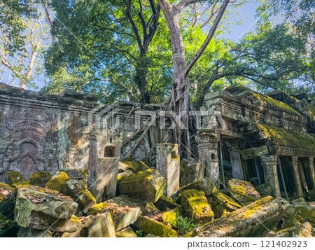 Ta Prohm Wat temple in Angkor, Cambodia Ta Prohm Wat temple in Angkor, Cambodia 121402923