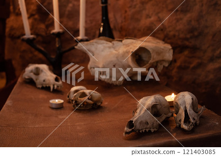 Photo zone in the studio for Halloween. Dramatic intimidating, scenery for All Saints Day celebrations. October 31, photo studio. Skulls of animals on an old suitcase. Photo zone in the studio for Halloween. Dramatic intimidating, scenery for All Saints Day celebrations. October 31, photo studio. Skulls of animals on an old suitcase. 121403085