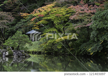 初冬的兼六園，秋葉美麗 121403897