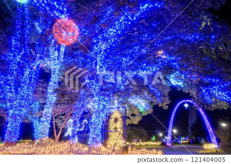 一宮市塔公園138號冬季彩燈2024 121404005