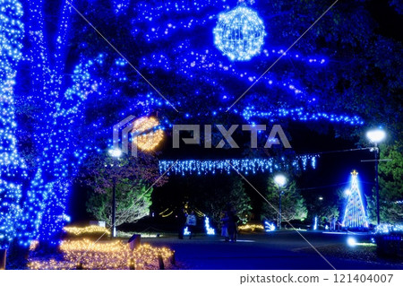 一宮市塔公園138號冬季彩燈2024 121404007