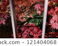 楓葉離開了紅葉 121404068