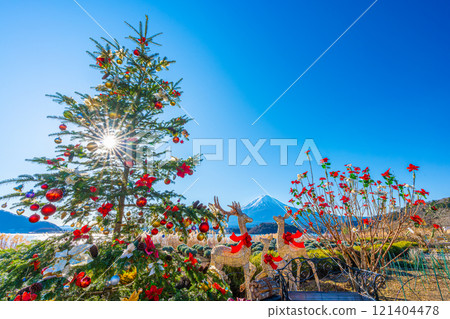 Mt. Fuji and Christmas tree at Lake Kawaguchi 121404478
