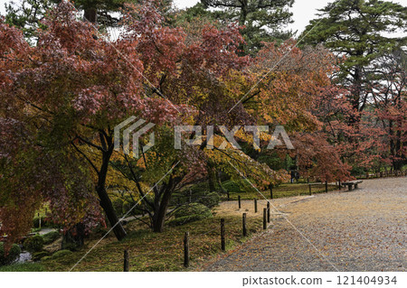 秋葉美麗的兼六園 121404934