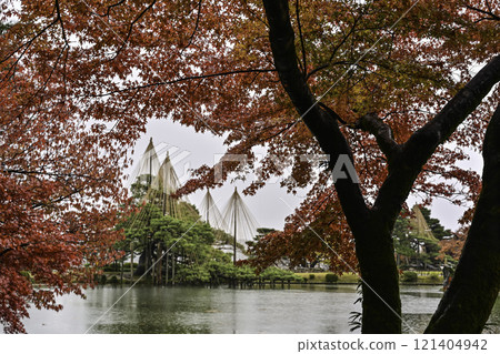 秋葉美麗的兼六園 秋葉美麗的兼六園 121404942
