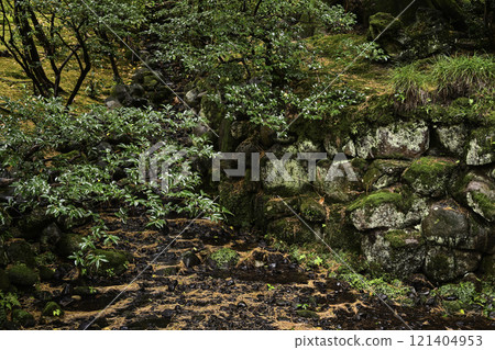 秋葉美麗的兼六園 121404953