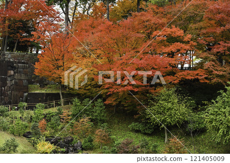 金澤城堡Tamsenin Maru花園裡的秋葉 金澤城堡Tamsenin Maru花園裡的秋葉 121405009