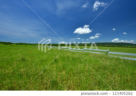 Scenery of vast green pasture with white railings Scenery of vast green pasture with white railings 121405262