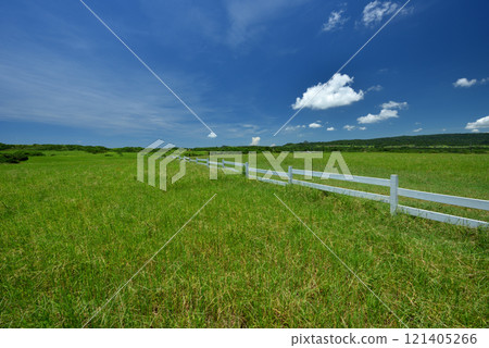 Scenery of vast green pasture with white railings 121405266