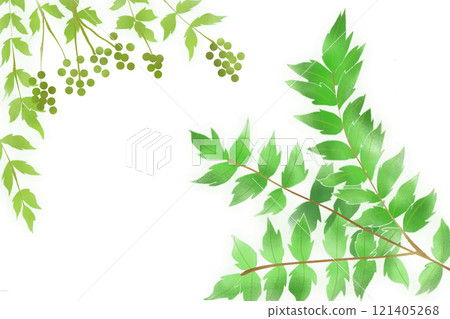 Card of Japanese pepper leaves and fruit 121405268