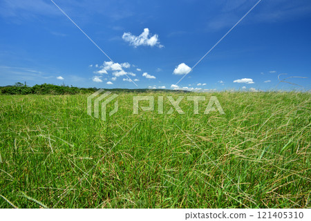 pasture grassland landscape pasture grassland landscape 121405310