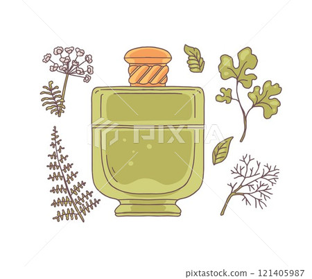 Perfume glass bottle, fennel and dill, parsley cilantro plant leaves vector icons set, natural seasoning grass fragrance 121405987