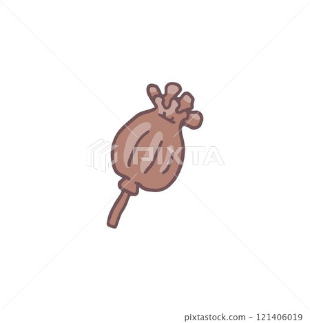 Poppy rounded seed capsule vector flat icon, dried poppy head pod, aromatic condiment ingredient, organic spice herb Poppy rounded seed capsule vector flat icon, dried poppy head pod, aromatic condiment ingredient, organic spice herb 121406019
