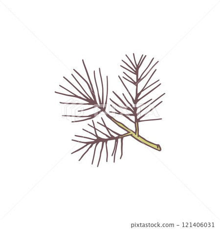Pine tree branch flat icon, fir plant, cedar twig, Christmas wood, natural coniferous forest fragrance, spruce flavor 121406031