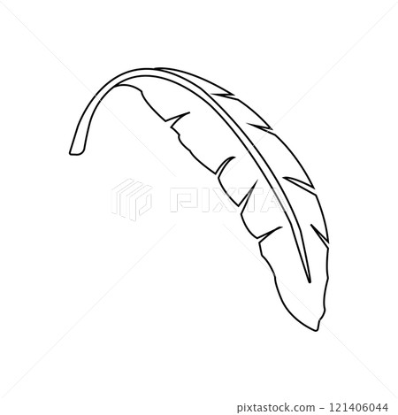 banana leaf design 121406044
