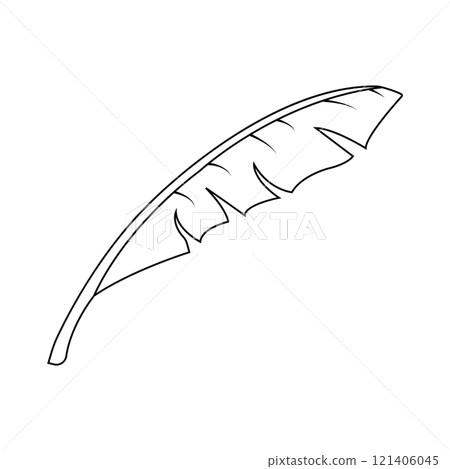 banana leaf design 121406045