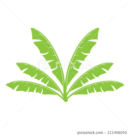 banana leaf design 121406050