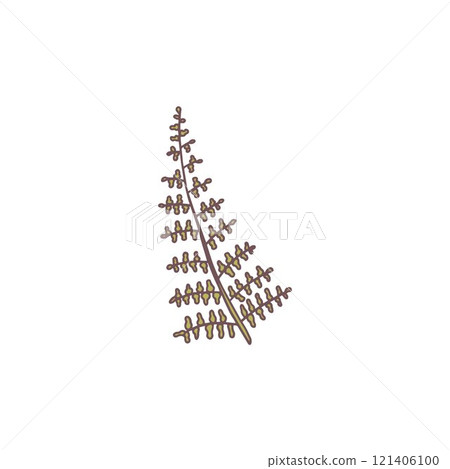 Fern plant leaf vector flat icon, tropical leaves, fragrance seasoning grass, natural aromatic condiment, farm wild herb Fern plant leaf vector flat icon, tropical leaves, fragrance seasoning grass, natural aromatic condiment, farm wild herb 121406100