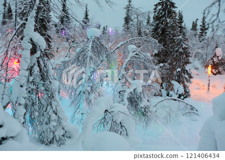 Magic forest at winter, Mysterious Forest in Murmansk region, Kirovsk, fantastic creation Magic forest at winter, Mysterious Forest in Murmansk region, Kirovsk, fantastic creation 121406434