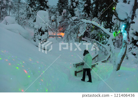 Magic forest at winter, Mysterious Forest in Murmansk region, Kirovsk, fantastic creation Magic forest at winter, Mysterious Forest in Murmansk region, Kirovsk, fantastic creation 121406436