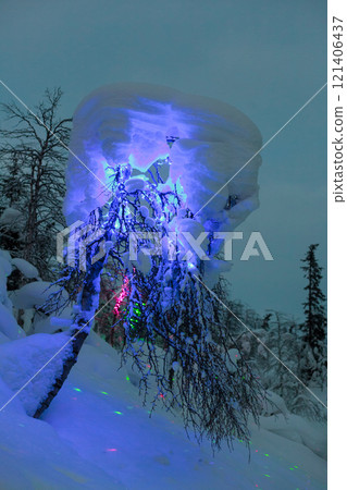 Magic forest at winter, Mysterious Forest in Murmansk region, Kirovsk, fantastic creation 121406437
