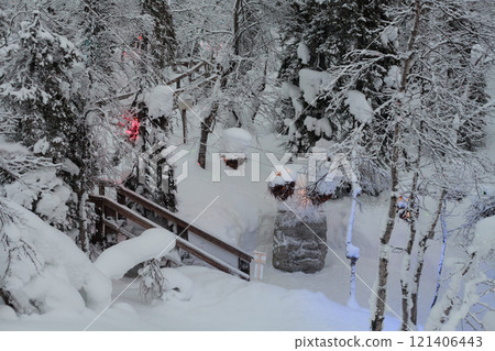 Magic forest at winter, Mysterious Forest in Murmansk region, Kirovsk, fantastic creation 121406443
