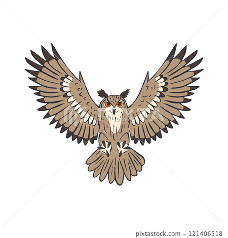 Hand drawn line art eagle-owl flying isolated on white background 121406518
