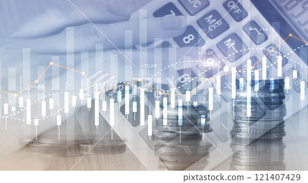 Financial Stock Market Graph. Website Economic Banner 121407429