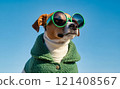 Fun dog with sunglasses and green plush coat furry material , and a white turtleneck sweater, outdoors blue sky backgrounds 121408567