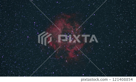 Rose Nebula 121408854