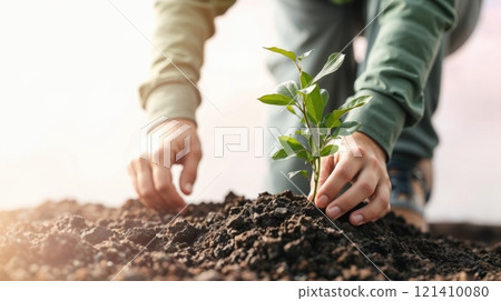 Close-up hands of gardener planting 121410080