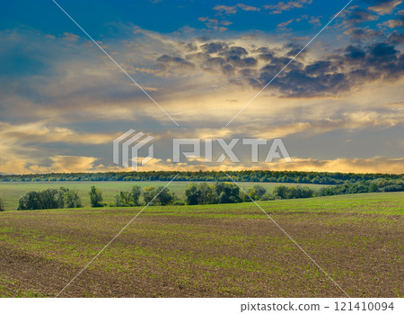 Harvested Fields and meadows landscape in Moldova. Wavy country scenery at autumn sunset. Harvested Fields and meadows landscape in Moldova. Wavy country scenery at autumn sunset. 121410094