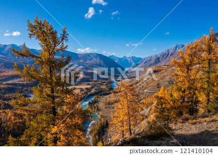 Beautiful autumn mountain landscape with river and golden trees under clear sky Beautiful autumn mountain landscape with river and golden trees under clear sky 121410104