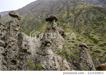 Stone mushrooms. Stone formations on the slope of a high mountain. Altai. 121410853