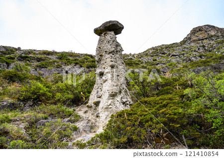 Stone mushrooms. Stone formations on the slope of a high mountain. Altai. 121410854