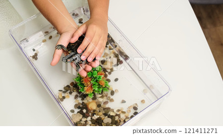 top-down view of a hand holding a turtle above its habitat, featuring colorful pebbles and aquatic plants. The image highlights the care and attention given to the pet s environment, showcasing a top-down view of a hand holding a turtle above its habitat, featuring colorful pebbles and aquatic plants. The image highlights the care and attention given to the pet s environment, showcasing a 121411271