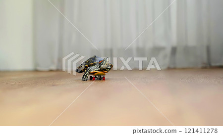 A turtle balances on a small skateboard, rolling across a wooden floor in a humorous and unexpected way. This image highlights the fun and creative side of having exotic pets. A turtle balances on a small skateboard, rolling across a wooden floor in a humorous and unexpected way. This image highlights the fun and creative side of having exotic pets. 121411278