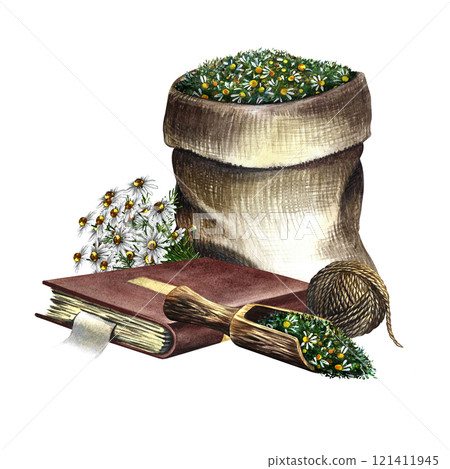 Pharmacy chamomile. Dry crushed medicinal herb in a canvas bag. A wooden spoon with dried herbs and a recipe book. Handmade watercolor illustration. For pharmaceuticals and cosmetology. 121411945