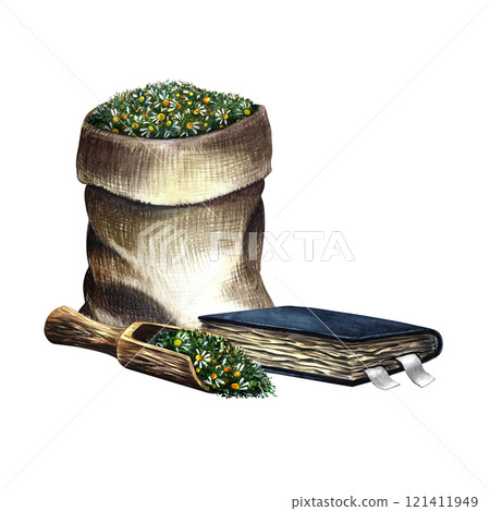 Pharmacy chamomile. Dry crushed medicinal herb in a canvas bag. A wooden spoon with dried herbs and an old recipe book. Hand-drawn watercolor illustration. For pharmaceuticals and cosmetology. 121411949