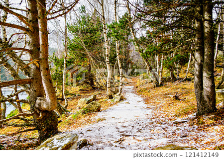 Autumn forest of Sant Maurici Lake with snowy path in Aigues Tortes National Park, in the Pyrenees of Lleida, Catalonia, Spain Autumn forest of Sant Maurici Lake with snowy path in Aigues Tortes National Park, in the Pyrenees of Lleida, Catalonia, Spain 121412149