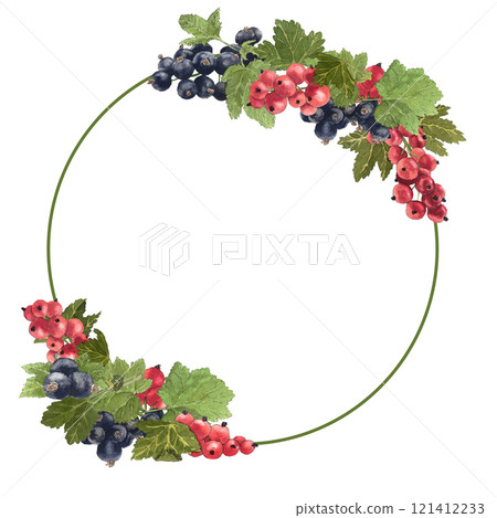 Watercolor round frame of delicious brunch of black and red currant.  121412233