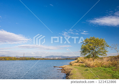 枚方市的冬季淀川風光 121412866