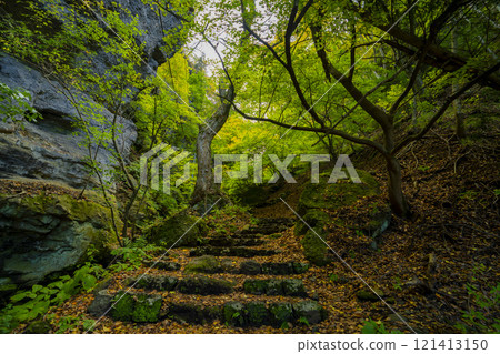 長野縣小諸市布引山少今寺的秋景 121413150
