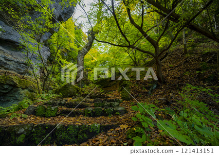 長野縣小諸市布引山少今寺的秋景 121413151