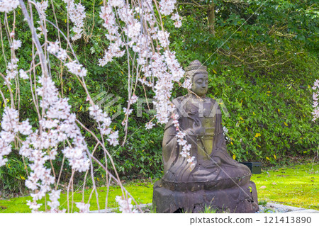 春天的京都、醍醐寺、垂枝櫻花和 Reihokan 的佛像 121413890