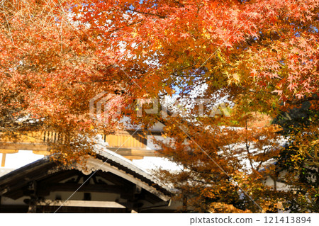 Autumn leaves at Sanzen-in Temple in Ohara, Kyoto 121413894