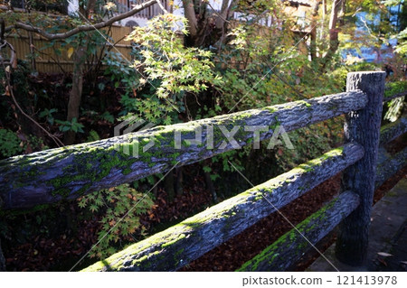 一個像樹一樣的混凝土柵欄，防止人們掉進河裡。 121413978