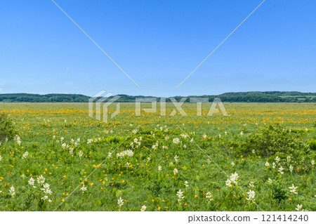 漫步在佐呂別原始花園,感受大自然的氣息 漫步在佐呂別原始花園,感受大自然的氣息 121414240